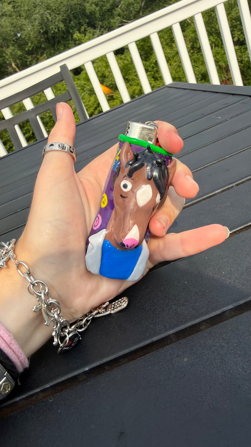 Bojack Horseman Lighter Case